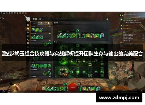 激战2奶玉组合技攻略与实战解析提升团队生存与输出的完美配合